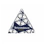 Jeu de société Goliath Triominos Original 30,5 x 6 x 26,5 cm