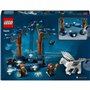 Set de construction Lego Harry Potter 76432 The Forbidden Forest: Magi