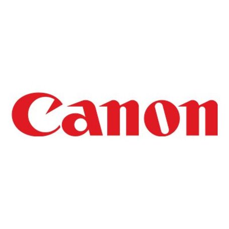 Canon GI-41Y Originale