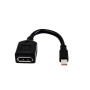 HP Câble adaptateur miniDP-DP