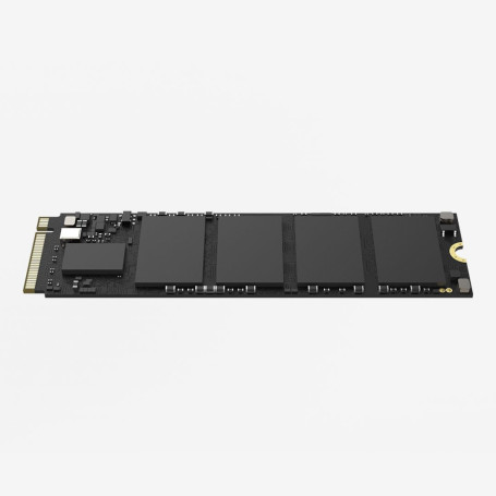 SSD Interne HIKSEMI M.2 1024 Go E3000 PCIe Gen 3x4