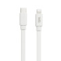 WE C ble USB-C/Lightning m le/m le plat 2m - blanc