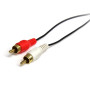 5 mm vers mâle 2 x RCA