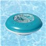 Bestway Grand Distributeur de Chlore Piscine et Jardin 58762