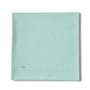 Drap Alexandra House Living Eau Vert clair 260 x 270 cm
