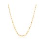 Collier Femme Ania Haie N025-03G 40 cm