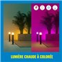 Borne de jardin solaire Wiz Noir Métal