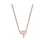 Collier Femme Skagen SKJ1710791