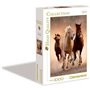 Clementoni - Puzzle - Chevaux sauvages - 1000 pieces - 67
