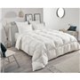 TOISON D'OR - Couette Daisy chaude (300g/m²)- 240x260cm - Plumette et duvet - 2 personnes - Blanc