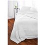 TOISON D'OR - Couette Silkydor tempérée (280g/m²) - 220x240cm -  Chaleur tempérée - Coton et soie de mûrier - 2 personne