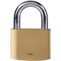 Cadenas laiton - YALE - Y110B/60/132/1 - 60 mm - Anse acier cémenté - 3 clés - Pour trappes d'acces