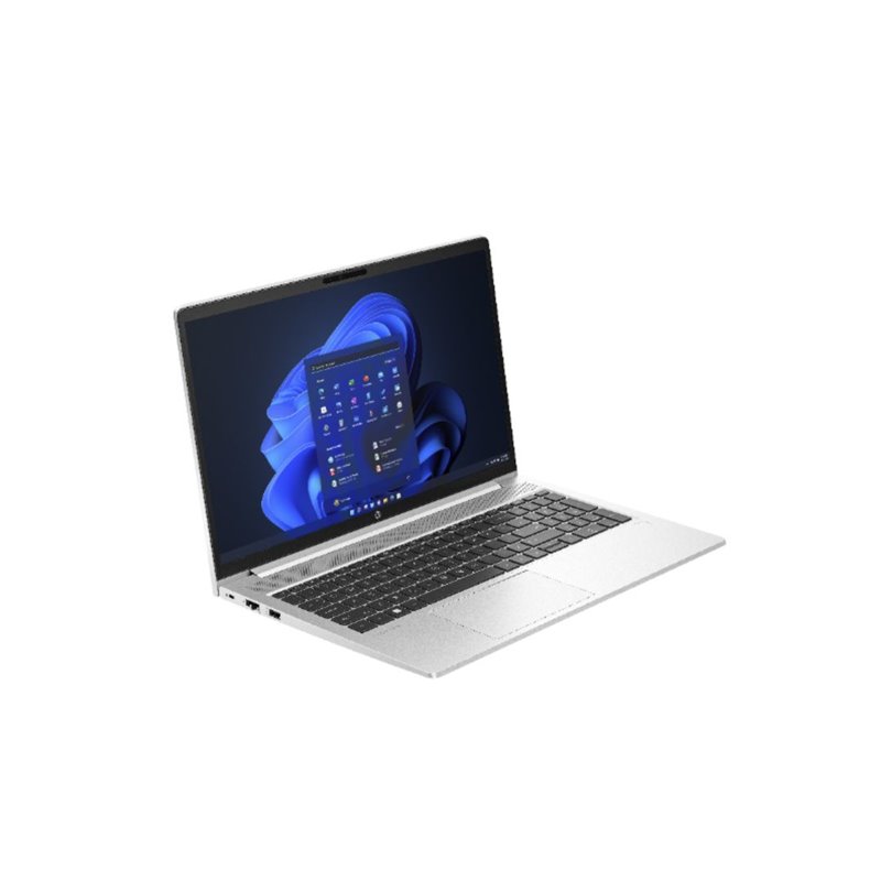 HP ProBook 455 15.6 G10 Ordinateur portable