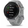 Montre intelligente GARMIN Forerunner 255S Gris 1