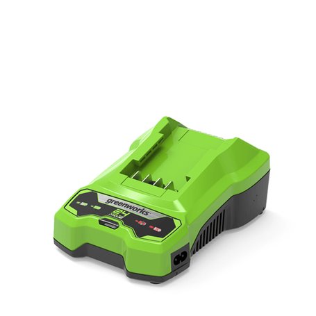 Batterie au lithium rechargeable Greenworks 2932407 Litio Ion