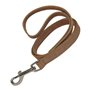 Laisse pour Chien Gloria Oasis 2.1 x 100 cm Marron