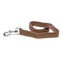 Laisse pour Chien Gloria Oasis 2.1 x 100 cm Marron