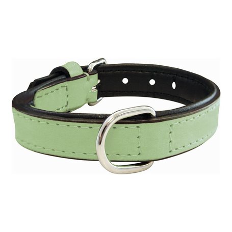 Collier pour Chien Gloria Rembourré Vert (55 x 2