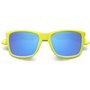 Lunettes de soleil Homme Polaroid PLD 8053_S