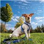 Harnais pour Chien Stitch Bleu foncé