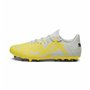 Chaussures de Football pour Adultes Puma Future Play MG Jaune Gris
