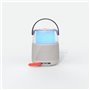 ENCEINTE BLUETOOTH LUMINEUSE AVEC MICRO CHANGE VOIX KARAOKE GRIS