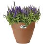 Pot De Fleurs Rond VIBIA - Plastique Réservoir - Ø35 - Anthracite