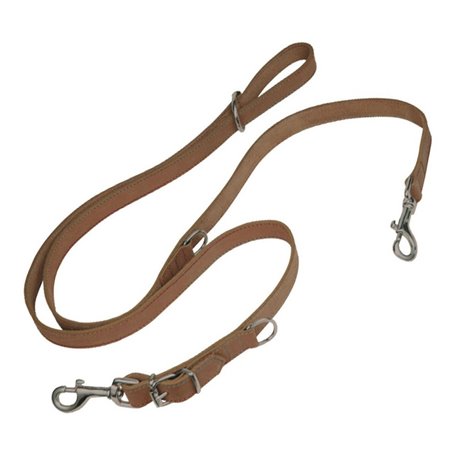 Laisse pour Chien Gloria Oasis Multiple 2.1 x 200 cm Marron