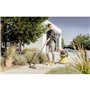 Aspirateur Kärcher WD 5 V-25/5/22