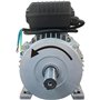 Moteur électrique 3CV/230V avec poulie - DOMAC