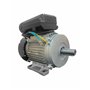 Moteur électrique 3CV/230V avec poulie - DOMAC