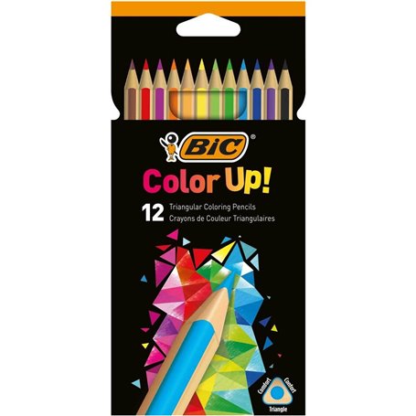 Crayons de couleur Bic 950527 Multicouleur