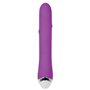 Vibrateur G-Spot Evolved Rabbit Violet
