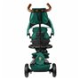 Poussette pour bébé Ocio Trends New Rito Star Deluxe Tricycle Vert