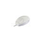 Active Key AK-PMT1 souris USB Type-A Optique 800 DPI