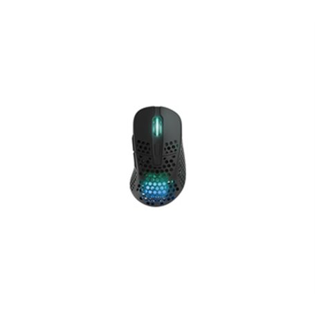CHERRY XTRFY M4 RGB souris Jouer Droitier RF Wireless + USB Type-C Optique 19000 DPI