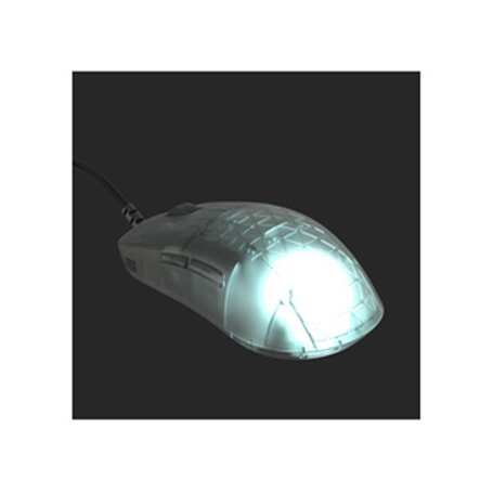 Endgame Gear OP1 RGB souris Jouer Droitier USB Type-A Optique 26000 DPI