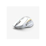 Glorious PC Gaming Race Model I 2 souris Jouer Droitier RF Wireless + Bluetooth + USB Type-C Optique 26000 DPI