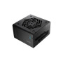 FSP VITA GM 650W unité d'alimentation d'énergie 20+4 pin ATX ATX Noir