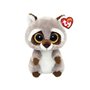 Ty Beanie Boo's Racoon