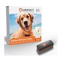 Traceur GPS pour Chien - Weenect XS (Black Edition 2023)