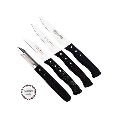 NOGENT COFFRET DE 4 COUTEAUX OFFICE EXPERT POLYPRO NOGENT - 00087V