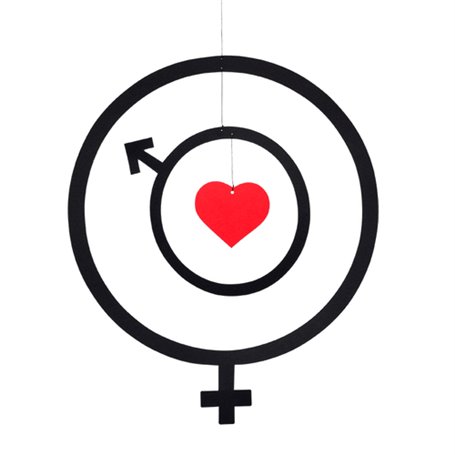 Ressorts à Gaz Frankberg pour Hayon Opel Zafira A 1999-2005 - Lot de 2 34,53 €