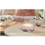Bougie Parfumée Yankee Candle Signature 5-Wick Tumbler 340 ml