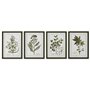 Cadre Home ESPRIT Vert Beige Shabby Chic Plantes botaniques 30 x 2