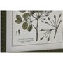 Cadre Home ESPRIT Vert Beige Shabby Chic Plantes botaniques 30 x 2,5 x 40 cm (4 Unités)