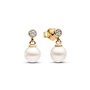 Boucles d´oreilles Femme Pandora 263153C01