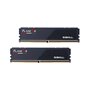 Mémoire RAM GSKILL FLARE X5 32 GB DDR5 6400 MHz cl32