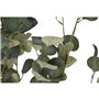 Arbre Home ESPRIT Polyéthylène Ciment Eucalyptus 80 x 80 x 220 cm