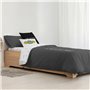 Housse de Couette Friends Friends Gris Anthracite 155 x 220 cm